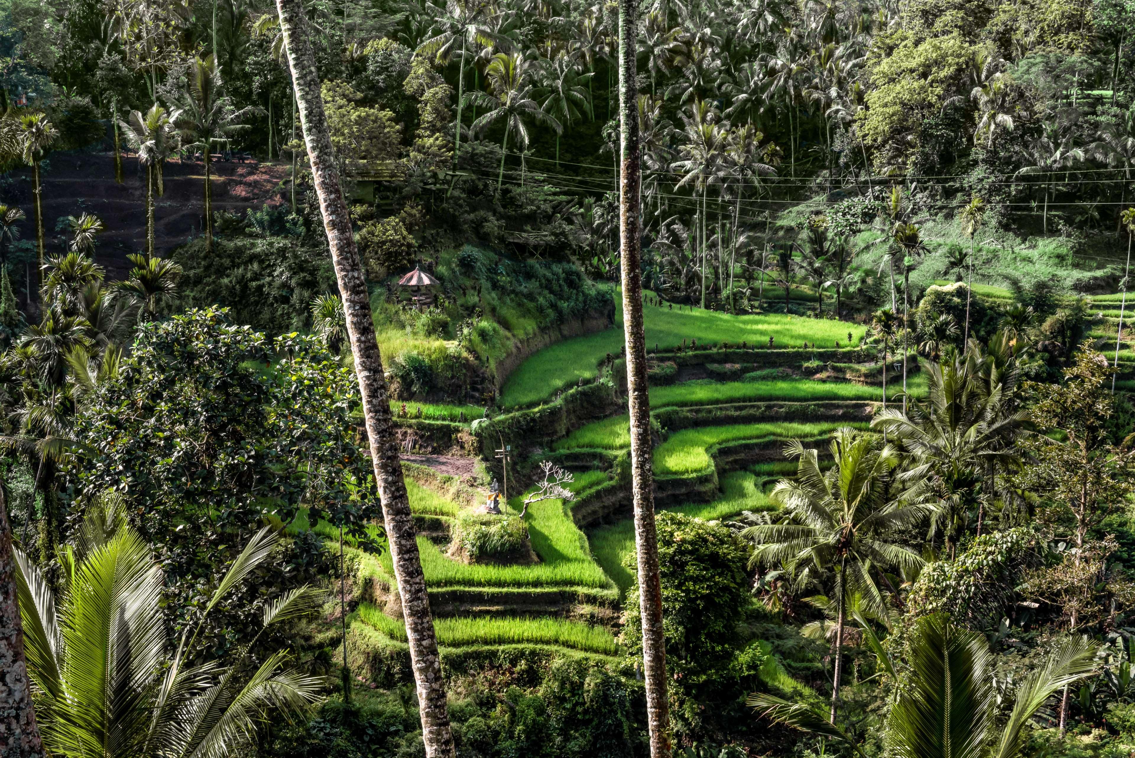 Amandari Hotel Ubud  Exterior photo